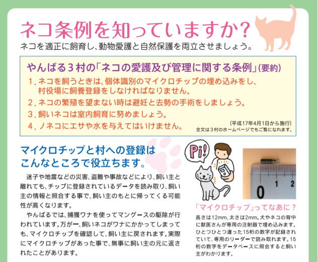 ノネコ | 沖縄外来種.com | Okinawa Prefecture Invasive Species Information Network